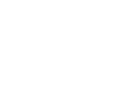 CION Logo